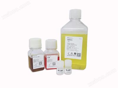 KOP293瞬时转染蛋白表白系统