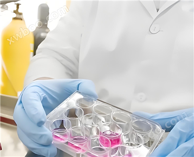 安身细胞工程技术，，赋能精准医学钻研