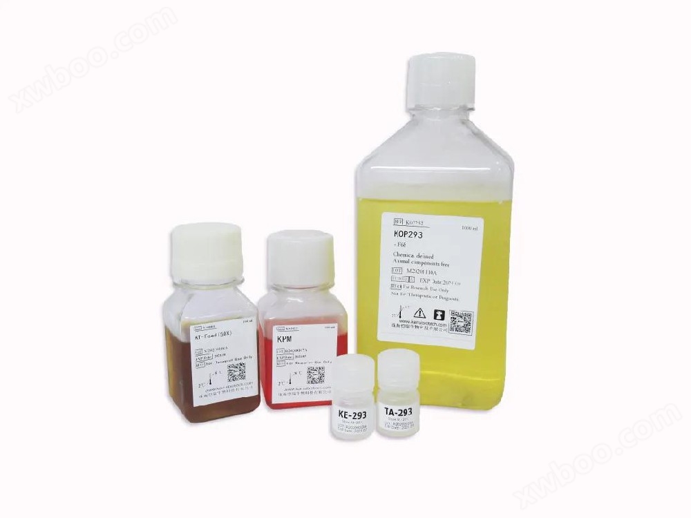 KOP293瞬时转染蛋白表白系统